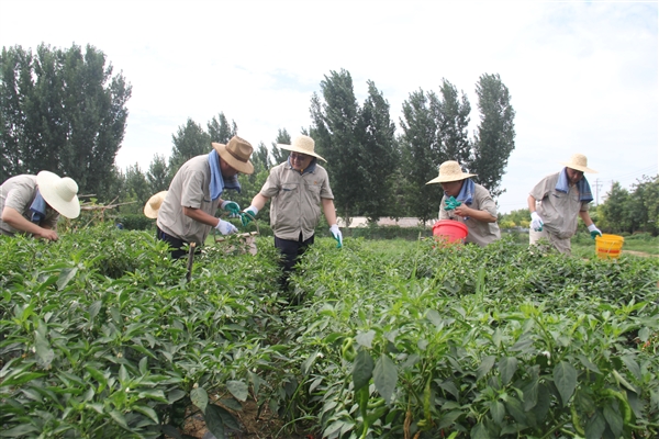 1689584471177393.jpg 404a5acf784b07d88575a69d6d4c45c_Jc.jpg