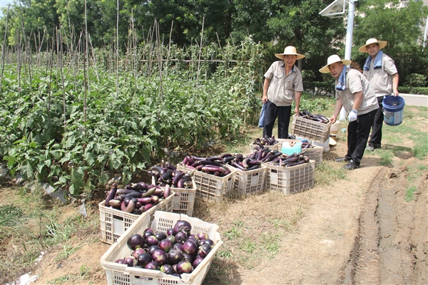 1689584471910099.jpg 5c8b763d36db1bb4044ac75faeedb50_Jc.jpg