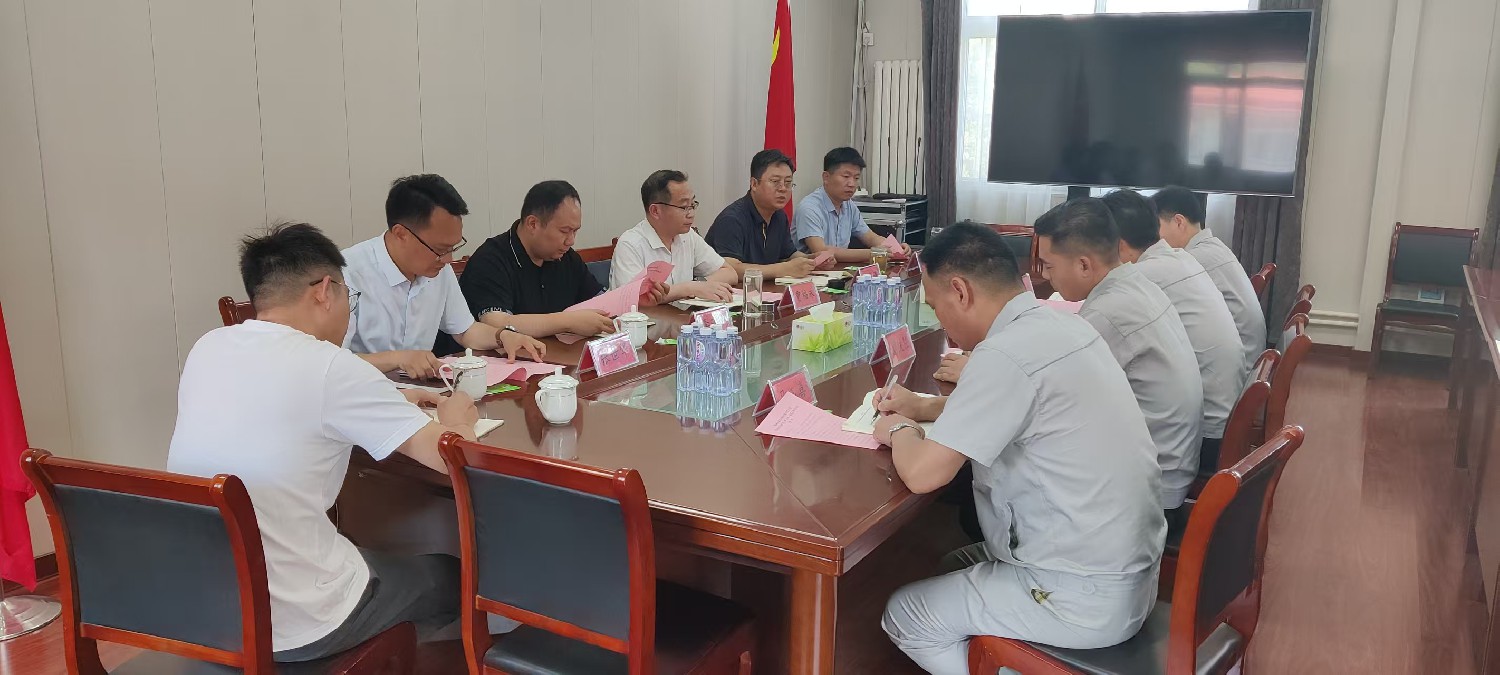 市國資局來鑫巖公司開展督導(dǎo)檢查